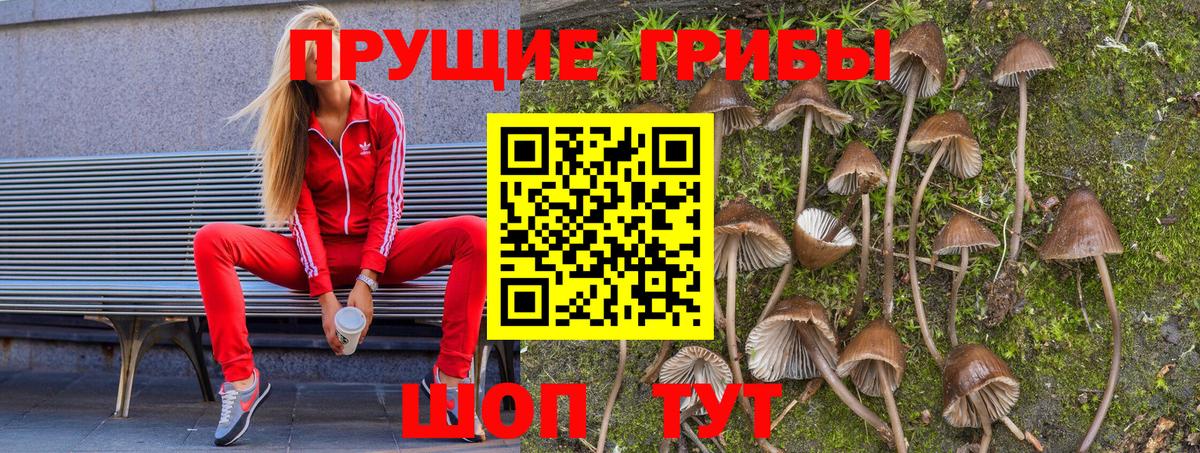 Галлюциногенные грибы прущие грибы Кумертау
