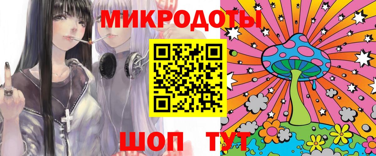 Псилоцибиновые грибы Psilocybe Кумертау